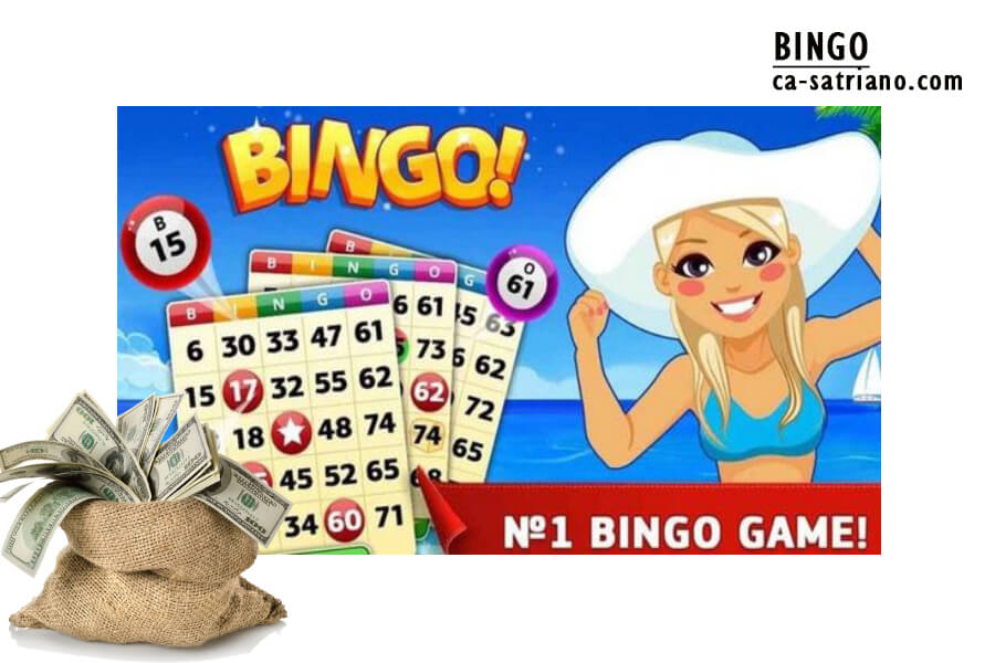 Bingo Sites Offer Free Money 