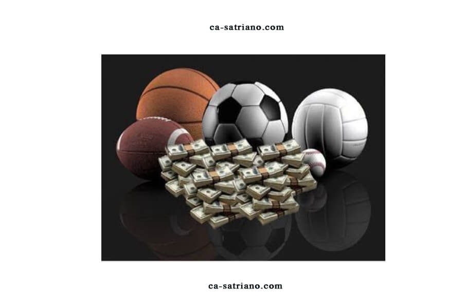 Discover How to Bet on Sports